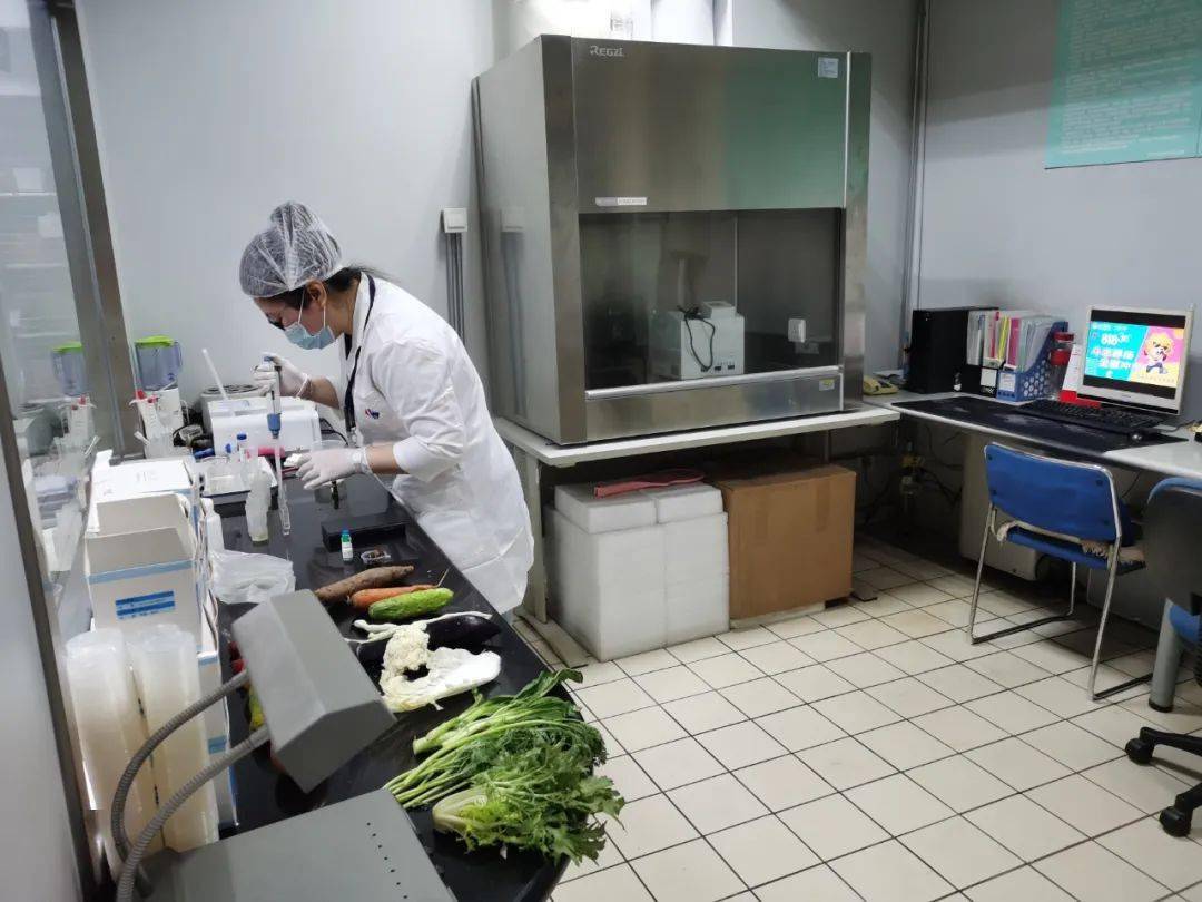 曲江食品检测实验室装修方案